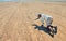 Tourist in Egyptian desert