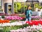 Tourist enjoy beautiful tulip garden in Keukenhof 2016, Amsterdam, Netherlands