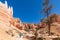 Tourist Exploring the Hoodoos in Bryce Canyon National Park, Utah, USA
