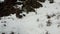 A tourist girl in a beige jacket and trekking boots walks in the snowy mountains