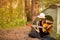 Tourist girl in hat sits in tent and playing guitar concept. Tourism rest on nature.