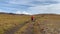 A tourist girl with a large backpack and trekking poles walks along the road in the tundra.