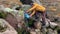 Tourist in glasses and a yellow jacket collects pure mountain water into a large plastic bottle.