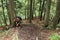 Tourist on gravel path in Slovak Paradise