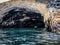 A tourist group on a rubber Zodiac boat enter a volcanic cave