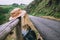 Tourist hat is on the wooden fence along the empty road in green