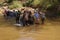 Tourist helps wash an elephant