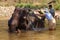 Tourist helps wash an elephant