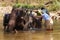 Tourist helps wash an elephant