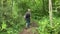 A tourist hiker walking along a forest path and crosses the stream, woman with a backpack going through the wood