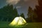 Tourist hikers tent brightly lit from inside on green grassy forest clearing among tall pine trees under dark blue starry sky on