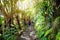 Tourist hiking on Kilauea Iki trail in Volcanoes National Park in Big Island of Hawaii