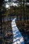 Tourist hiking trail in woods in winter