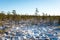 Tourist hiking trail in woods in winter