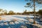 Tourist hiking trail in woods in winter