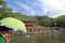 Tourist hold umbrella to visit life pond