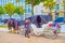 The tourist horse drawn carriage in central Berlin, Germany