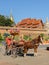 Tourist horse-drawn taxi