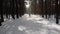 Tourist in Kampinos Forest in Poland