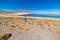 Tourist at `Laguna Honda`, a frozen salt lake with flamingos on the way to the famous Uyuni Salt Flat, travel destination in Boliv