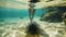 Tourist legs step on sea urchin, underwater view of woman legs near sea urchin on seabed