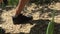 Tourist legs stepping on forest path while hiking in mountain. Hiker walking on dirt road while climbing on highlands