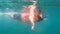 Tourist is in life vest float underwater Snorkeling