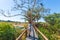 Tourist looking at panorama with binocular from viewpoint over the Olifants river, scenic and colorful landscape with wildlife in