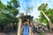 Tourist looking at Ta Prohm famous jungle tree roots embracing Angkor temples, revenge of nature against human buildings, travel