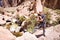 Tourist man adventurer backpacker standing desert canyon, Bolivia