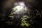 Tourist man explore the lava cave with flash light in Maui, Hawaii.