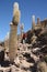 Tourist man at Island with Cactuses in Uyuni, Bolivia