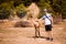 Tourist man touching young deer by hand in zoo