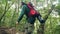 Tourist man walking on pathway in jungle forest while summer hiking. Backpacker traveling in wild rainforest. Tourism