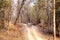 Tourist moving in Safari jeep in Pench Tiger reserve