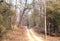 Tourist moving in Safari jeep in Pench Tiger reserve