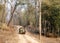 Tourist moving in Safari jeep in Pench Tiger reserve