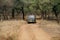 Tourist moving in Safari jeep at Ranthambore park