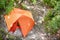 Tourist orange tent in forest