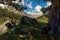 Tourist parking under large pine tree in mountains. Lunch of tourists in mountains