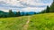 Tourist path in the forest, Mala Fatra national park, Slovakia. Green fresh trees, blue sky. Trail to Maly Rozsutec mountain