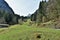 Tourist path passing close wooden cottage through the mountain meadows towards to Murg lakes