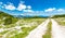 Tourist path in Slovenia mountains near Vogel. Path of top of mountain, green grass, tress, blue sky. Hiking in Europe. Triglav na