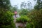 Tourist with pink rain coat walking travel adventure nature in the rain forest. travel nature, Travel relax, Travel Thailand,