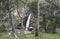 Tourist on platform looking at waterfall in flood.