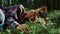 Tourist relaxing on grass in summer forest. Young woman lying on ground in woods