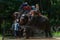 Tourist ride a elephant at samui