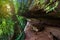 Tourist route at the Nakee Cave come up to pay homage to the blessings of the serpent, in Phu Lanka National, Thailand