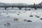 Tourist sailing on pedal boats on Vltava river near Charles bridge in Prague, Czech Republic