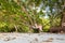 Tourist on secret beach Pangkor